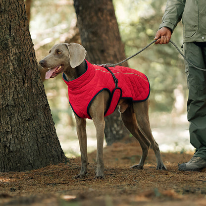 Reflective Dog Vest