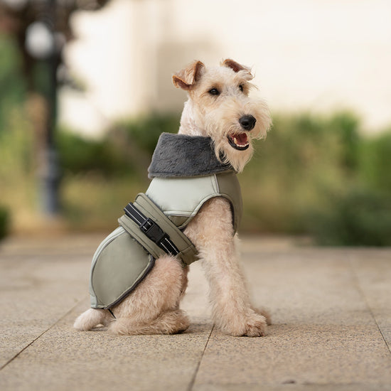 CozyFur Dog Vest