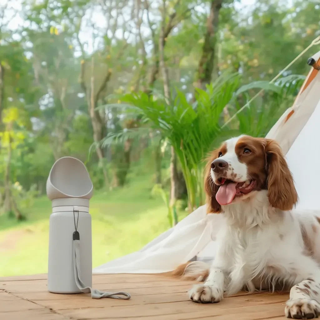 Portable Foldable Silicone Dog Water Bottle