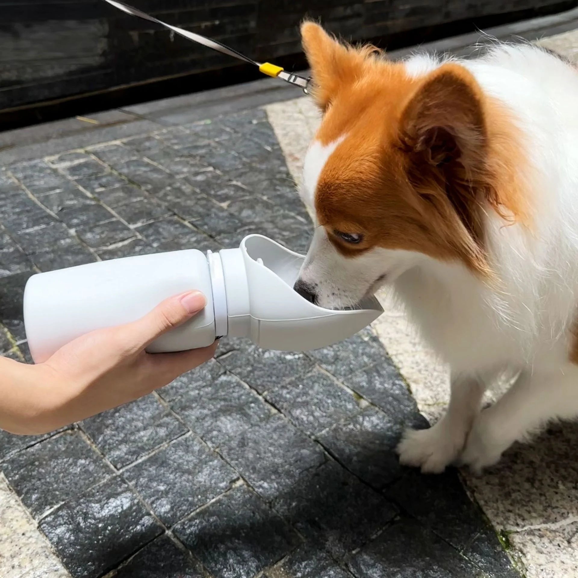 Portable Foldable Silicone Dog Water Bottle