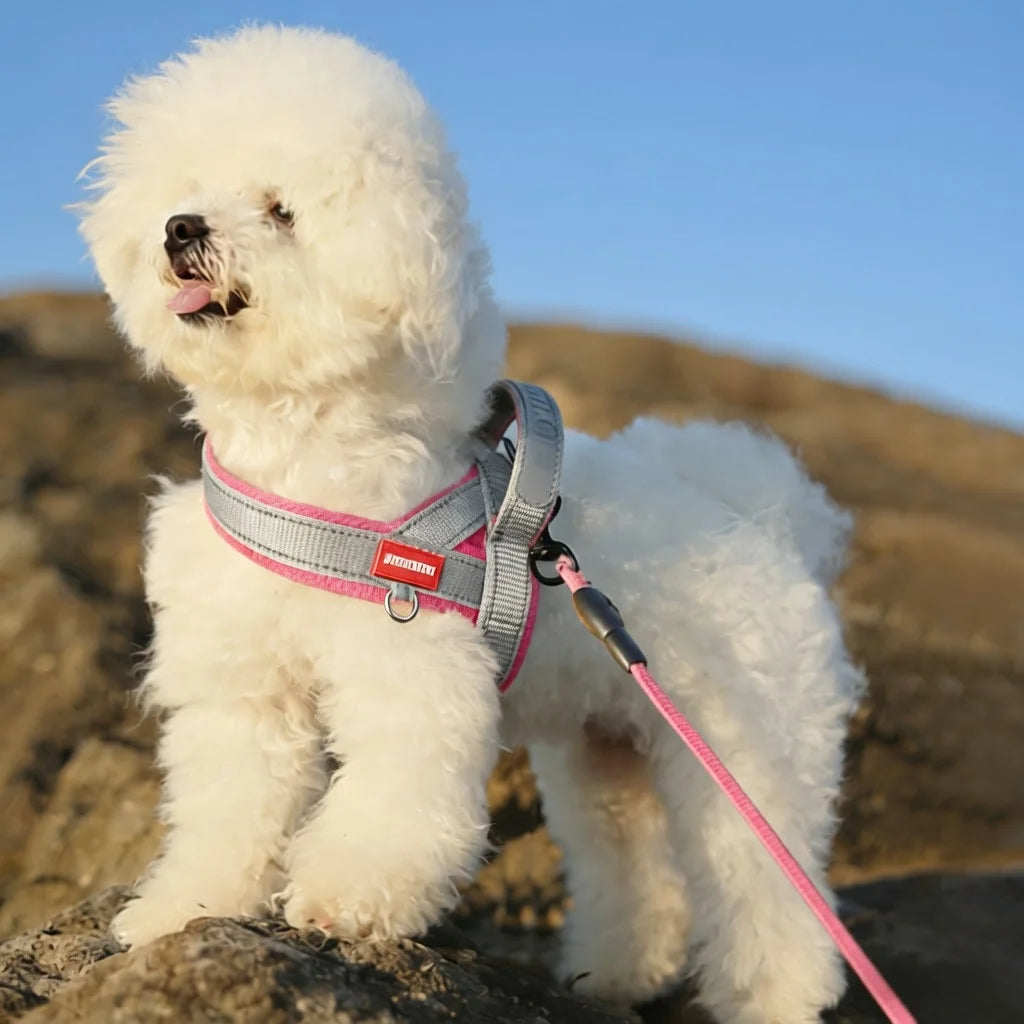 Reflective No-Pull Durable Dog Harness