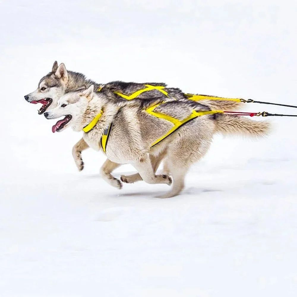 Durable Reflective Waterproof Dog Harness