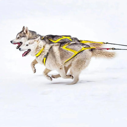 Durable Reflective Waterproof Dog Harness
