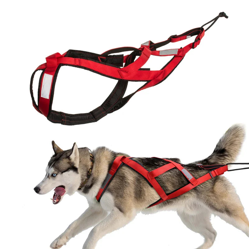 Durable Reflective Waterproof Dog Harness