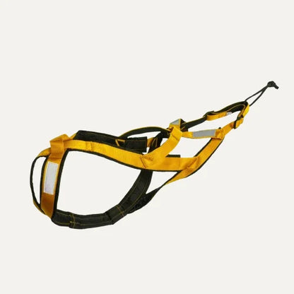 Durable Reflective Waterproof Dog Harness