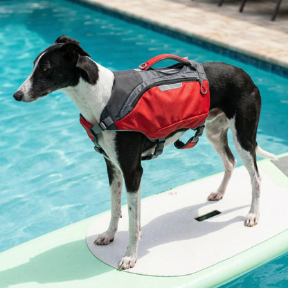 2-in-1 Floating Dog Life Jacket with Storage Backpack