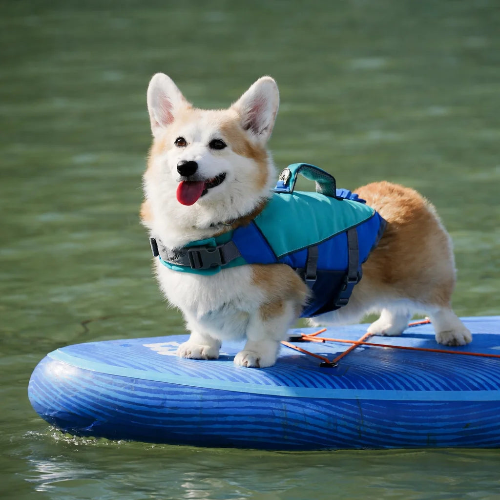 Reflective Ripstop Flotation Dog Life Jacket