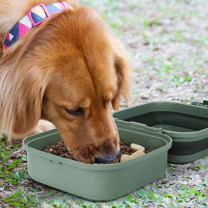Collapsible Double Dog Bowl