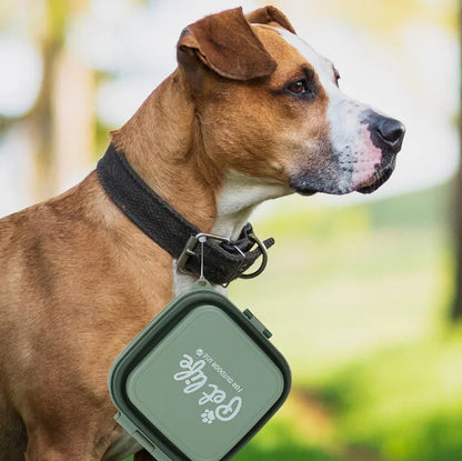 Collapsible Double Dog Bowl