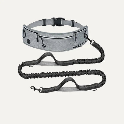 Shock-Absorbing Reflective Hands-Free Running Dog Leash