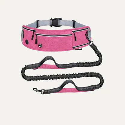 Shock-Absorbing Reflective Hands-Free Running Dog Leash