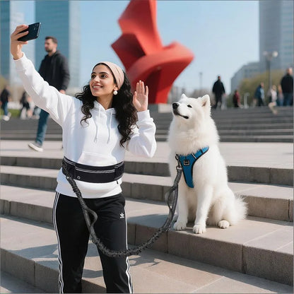 Shock-Absorbing Reflective Hands-Free Running Dog Leash