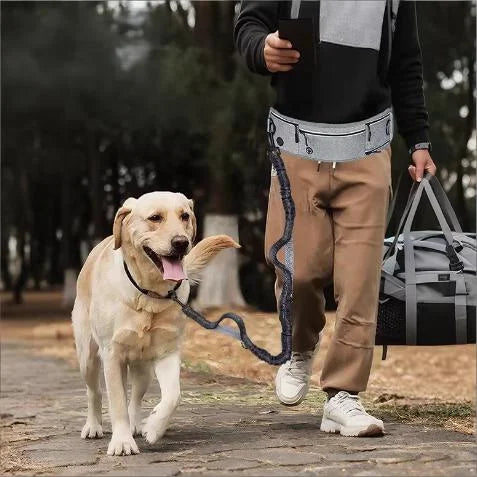 Shock-Absorbing Reflective Hands-Free Running Dog Leash