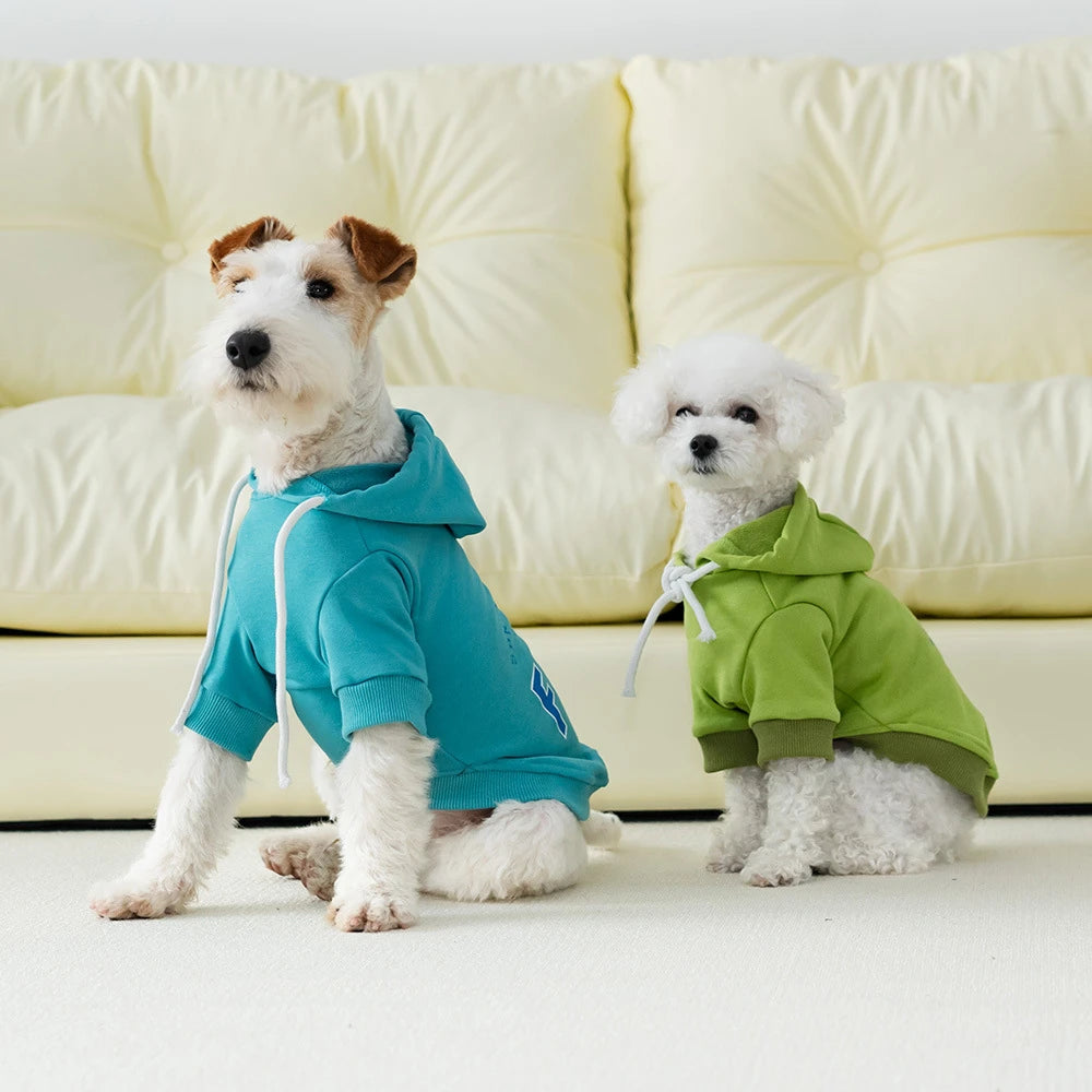 Fashionable Sports Dog Hoodie