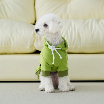 Fashionable Sports Dog Hoodie