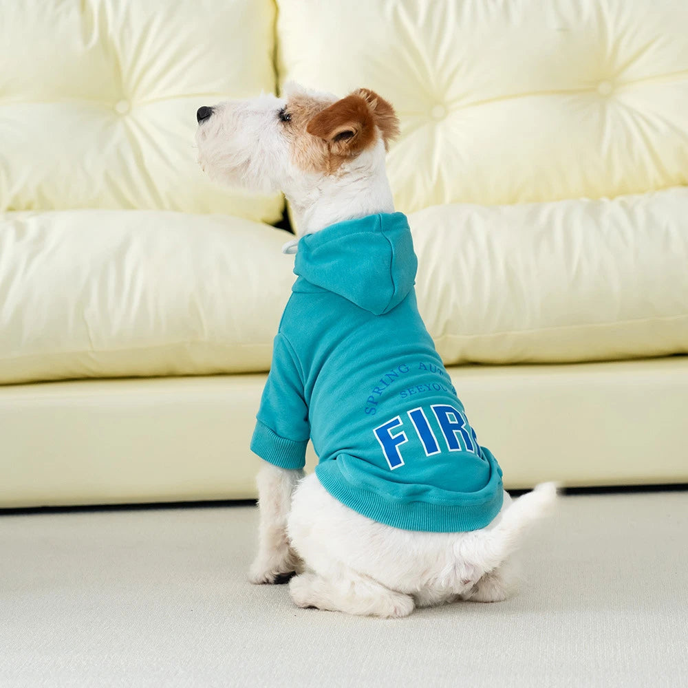 Fashionable Sports Dog Hoodie
