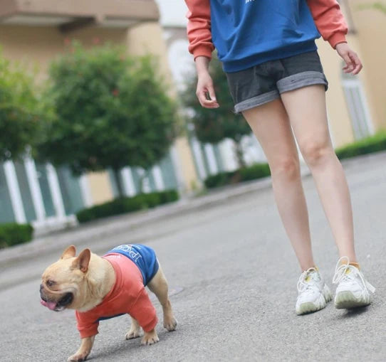 Casual Cotton Dog Sweatshirt