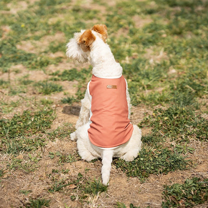 Cooling Breathable Dog Vest