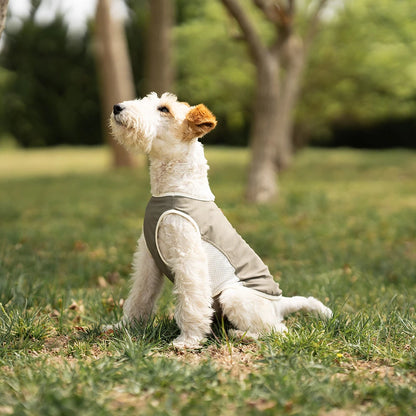 Cooling Breathable Dog Vest