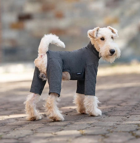 FlexCore Dog Bodysuit
