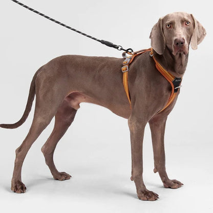 UltraGuard Dog Harness