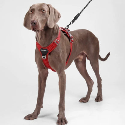 UltraGuard Dog Harness