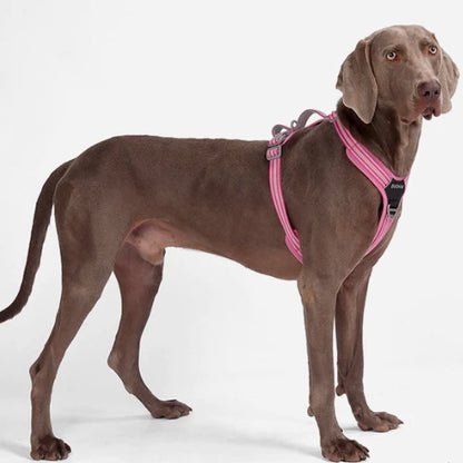 UltraGuard Dog Harness