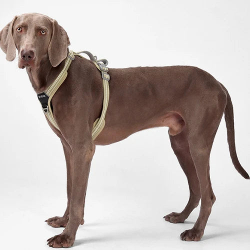 UltraGuard Dog Harness