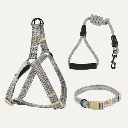 High-End Fashion Dog Harness & Collar Set