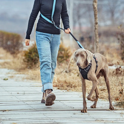 Multi-Function Elastic Dog Leash