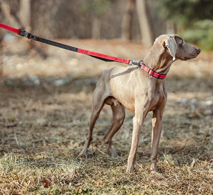 Multi-Function Elastic Dog Leash