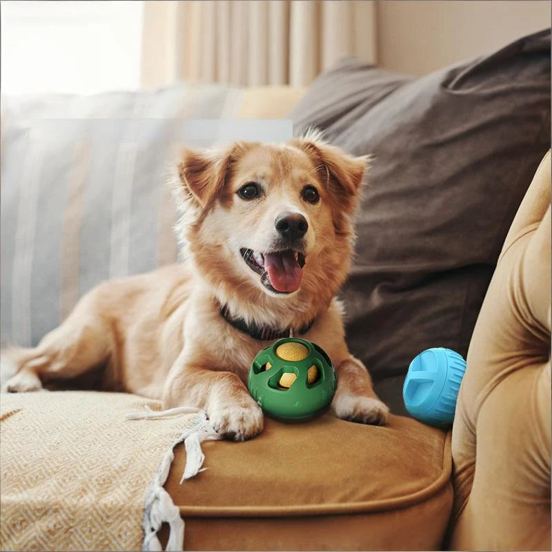 Silicone Pet Feeding Ball