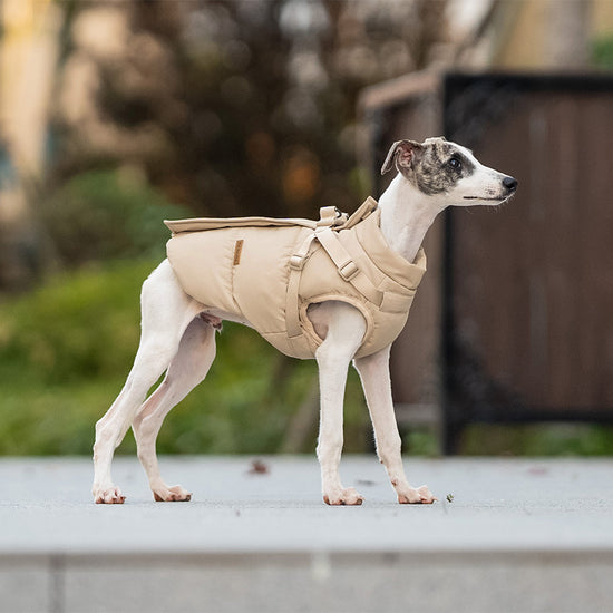 Morandi Winter Dog Vest