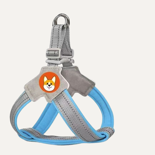 FlexTrail Dog Harness