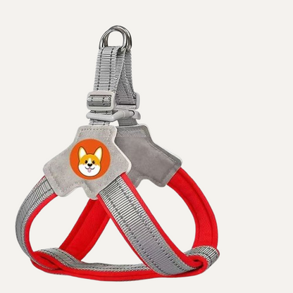 FlexTrail Dog Harness