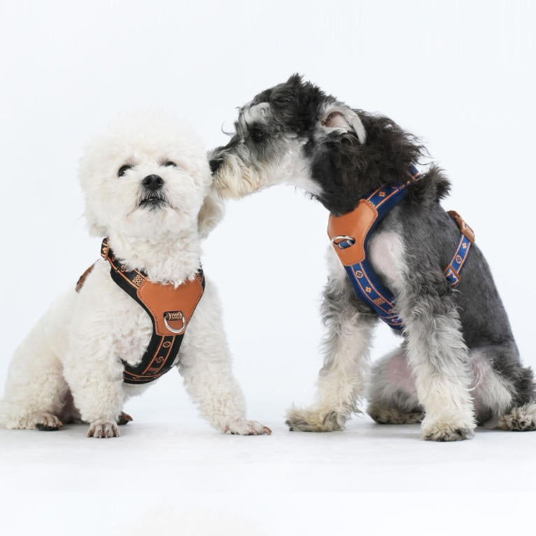 TrailEase Dog Harness