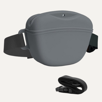 SnackGo Silicone Treat Pouch