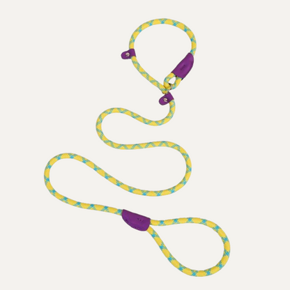 PForce Heavy-Duty Dog Leash