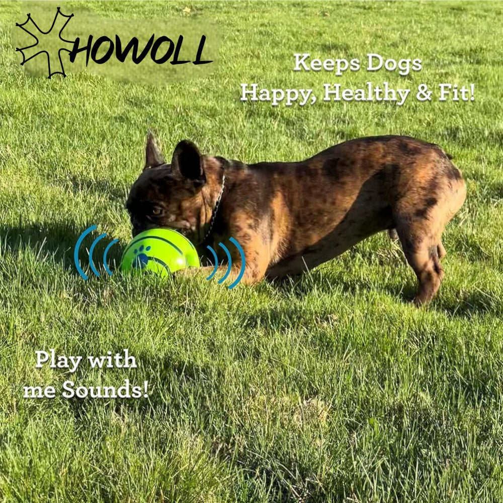 Wobble Giggle Dog Ball