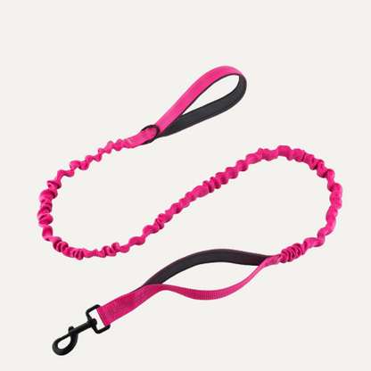 TactiLeash Dog Leash