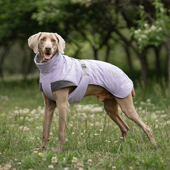 AlpinePro Dog Vest