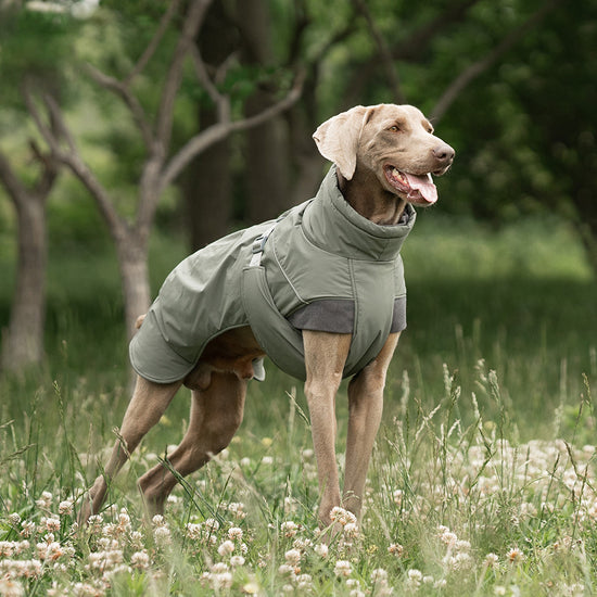 AlpinePro Dog Vest