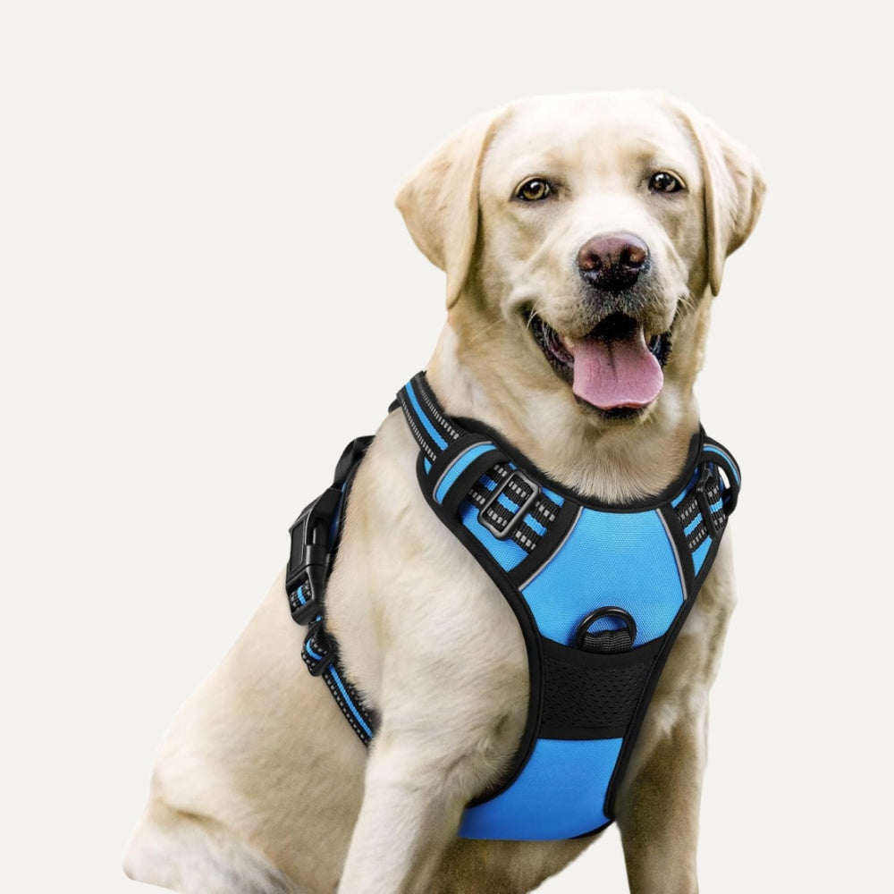 PawArmor No-Pull Adjustable Dog Harness