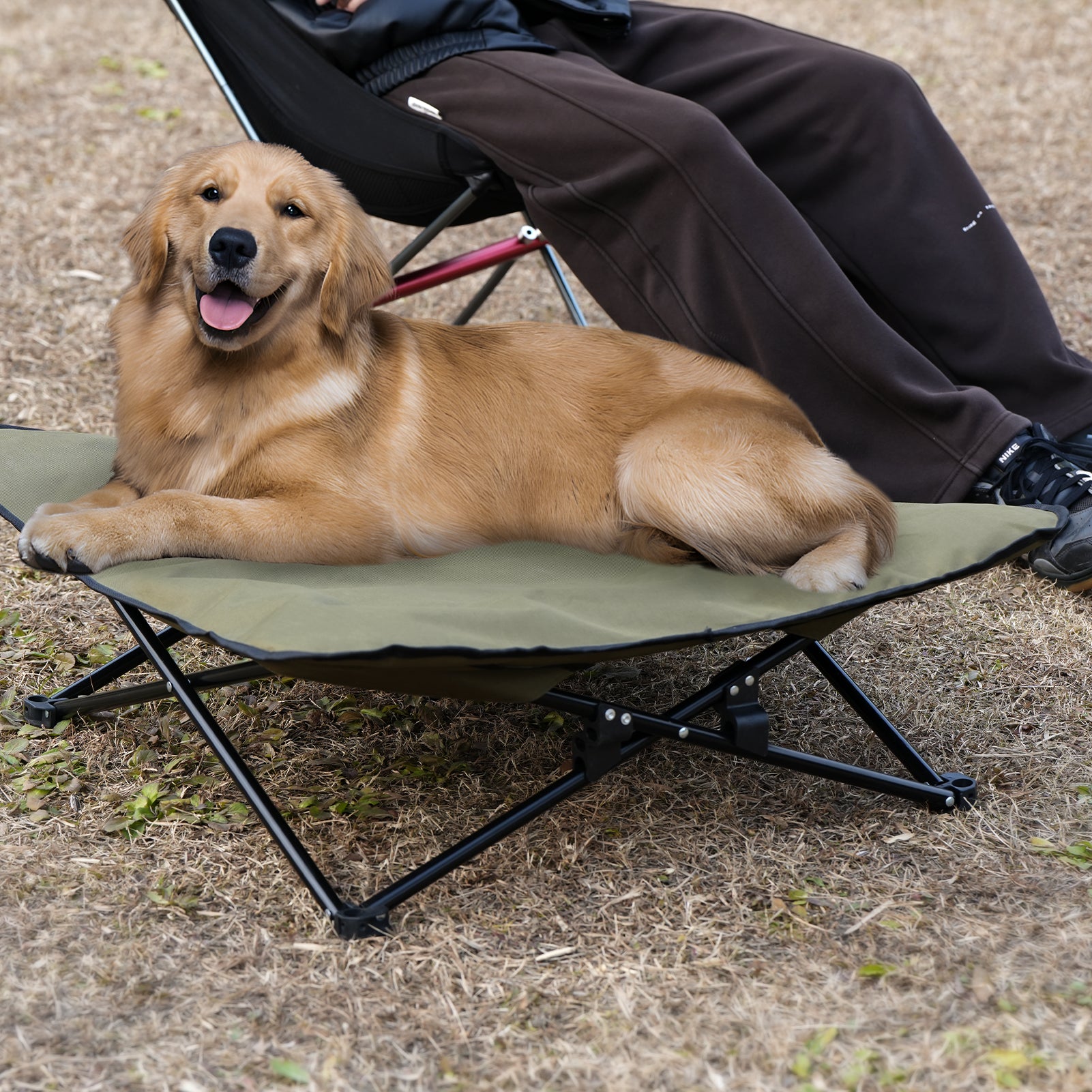PawsRest Pet Foldable Bed