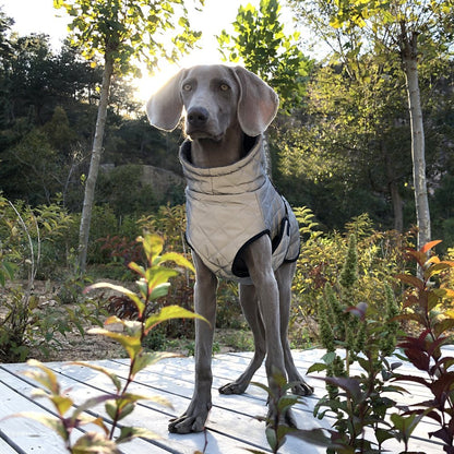 ReflectaGuard Dog Jacket