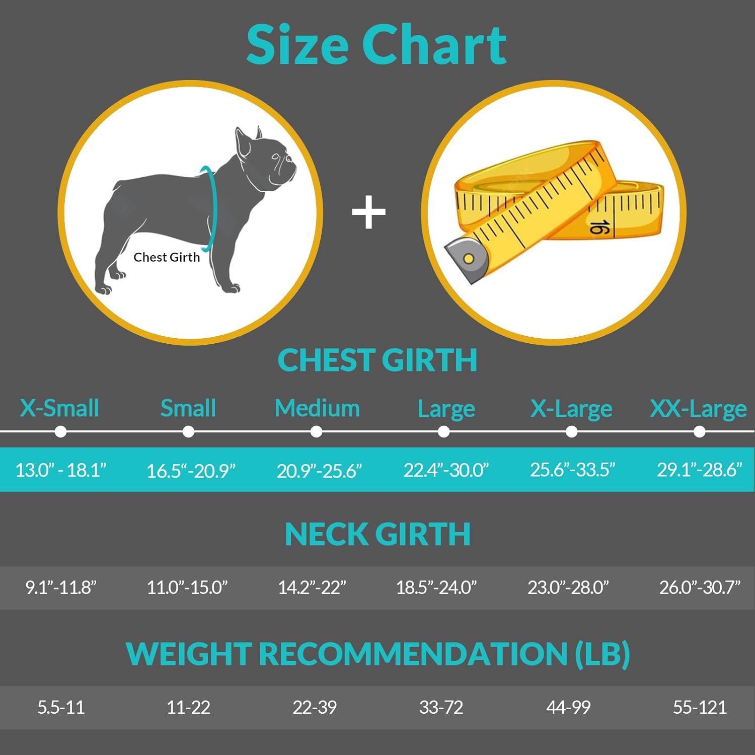 AquaGuard Pet Life Vest