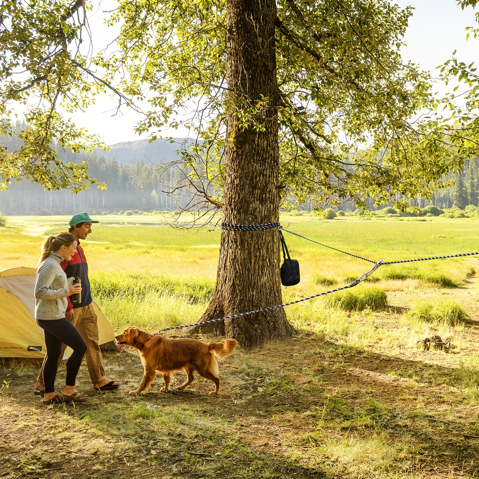 FreeRoam Dog Tie Out Cable