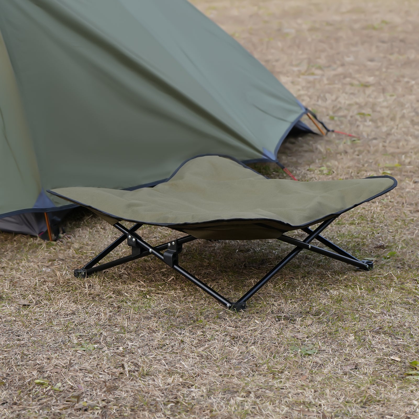 PawsRest Pet Foldable Bed