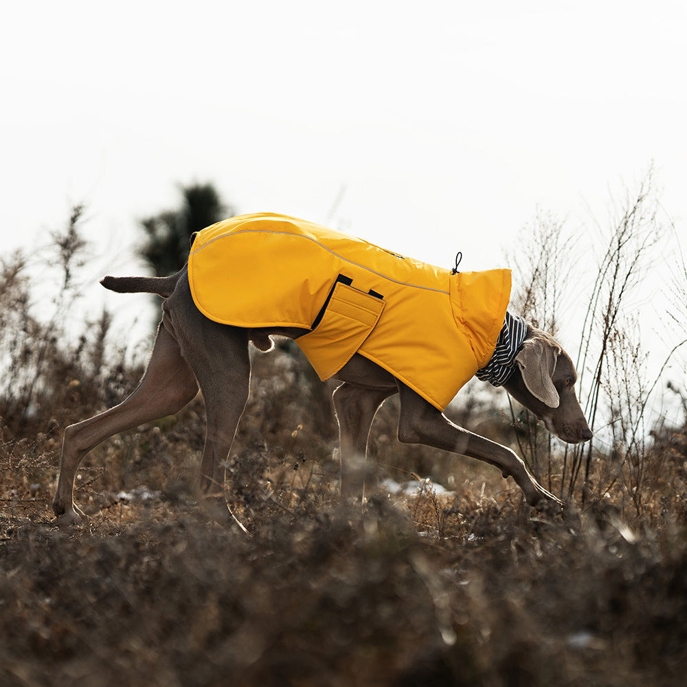 Dual-Collar Cape Dog Jacket