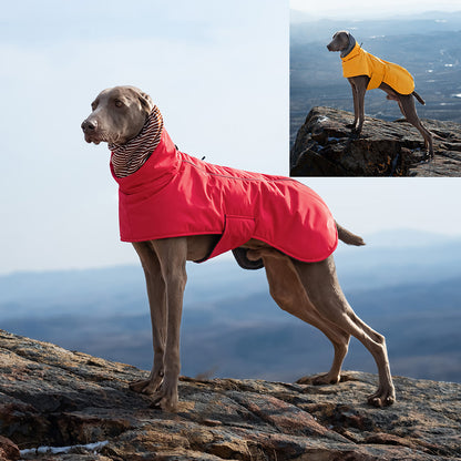 Dual-Collar Cape Dog Jacket